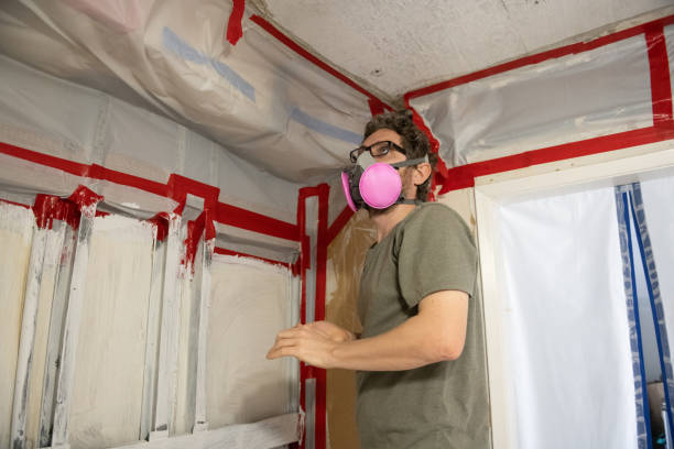 Best Crawl Space Mold Remediation  in Maryville, TN